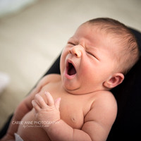 NEWBORN LIFESTYLE
